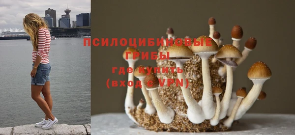 apvp Абдулино