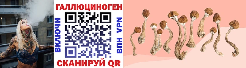Галлюциногенные грибы MAGIC MUSHROOMS  гидра ONION  Болгар  магазин   