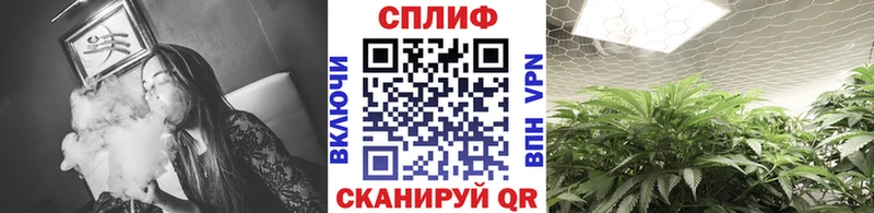 Бошки Шишки сатива  Болгар 